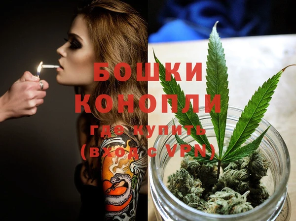 дживик Белокуриха