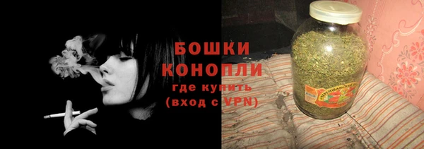 ешки Бородино