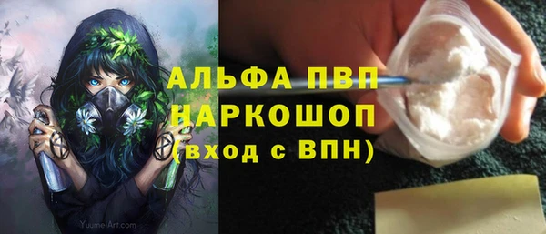 ешки Бородино