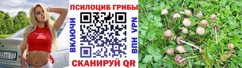 Псилоцибиновые грибы Magic Shrooms  Купить закладки  Борисоглебск 